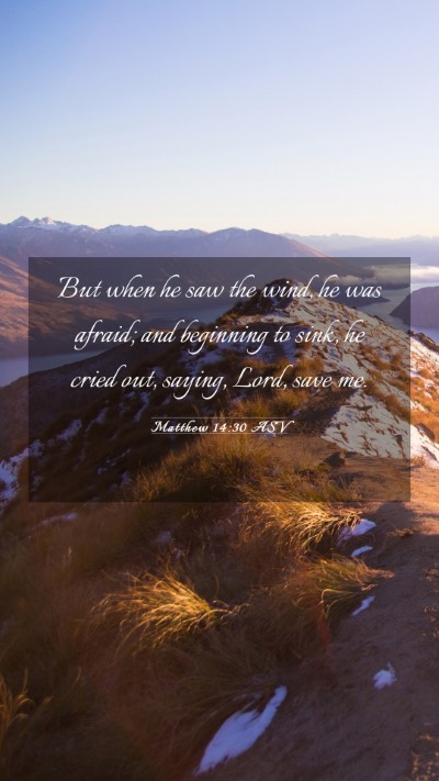 Picture 03 - Matthew 14:30 ASV Mobile Phone Wallpaper - But when he saw the wind, he was afraid; and - Mobile Bible Verse Wallpaper