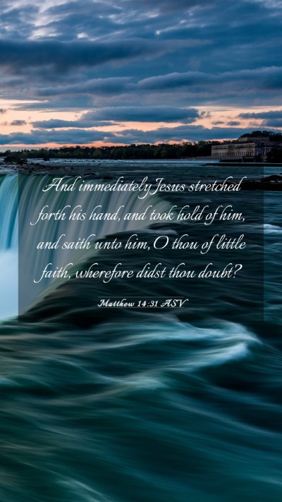 Picture 03 - Matthew 14:31 ASV Mobile Phone Wallpaper - And immediately Jesus stretched forth his hand, - Mobile Bible Verse Wallpaper