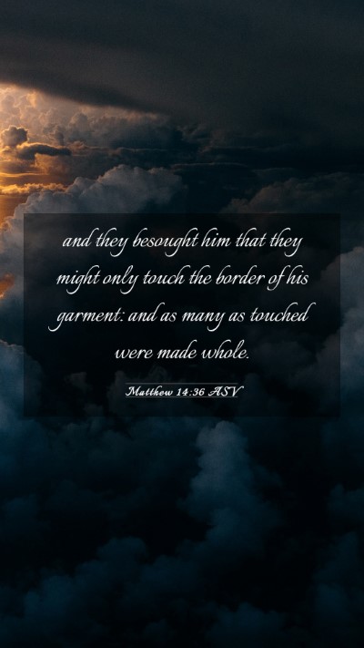 Picture 03 - Matthew 14:36 ASV Mobile Phone Wallpaper - and they besought him that they might only touch - Mobile Bible Verse Wallpaper