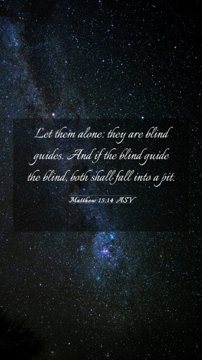 Picture 03 - Matthew 15:14 ASV Mobile Phone Wallpaper - Let them alone: they are blind guides. And if the - Mobile Bible Verse Wallpaper
