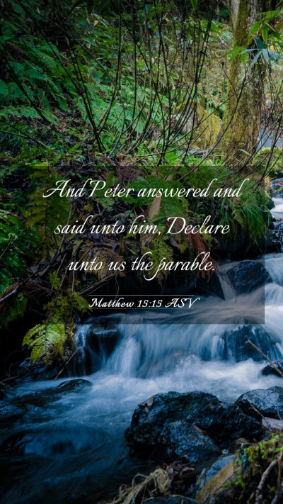 Picture 03 - Matthew 15:15 ASV Mobile Phone Wallpaper - And Peter answered and said unto him, Declare - Mobile Bible Verse Wallpaper