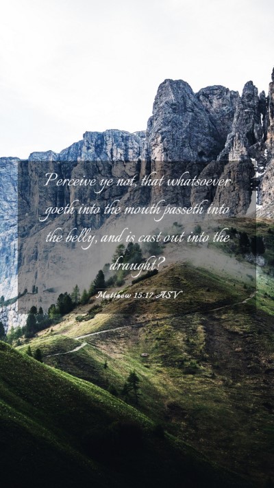 Picture 03 - Matthew 15:17 ASV Mobile Phone Wallpaper - Perceive ye not, that whatsoever goeth into the - Mobile Bible Verse Wallpaper