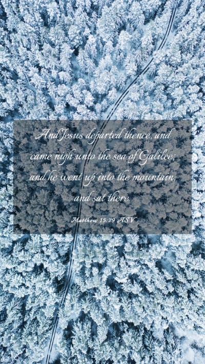 Picture 03 - Matthew 15:29 ASV Mobile Phone Wallpaper - And Jesus departed thence, and came nigh unto the - Mobile Bible Verse Wallpaper