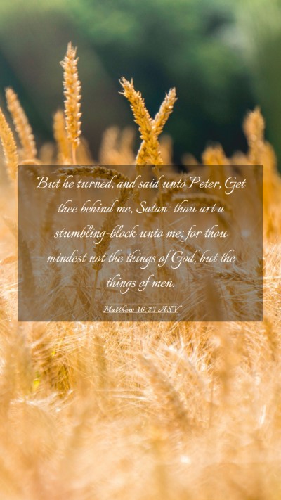 Picture 03 - Matthew 16:23 ASV Mobile Phone Wallpaper - But he turned, and said unto Peter, Get thee - Mobile Bible Verse Wallpaper