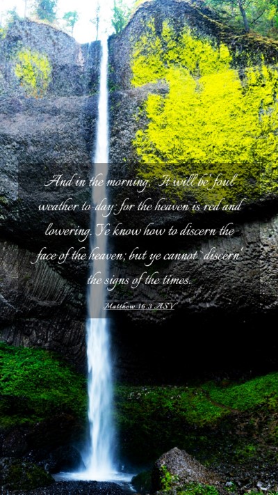 Picture 03 - Matthew 16:3 ASV Mobile Phone Wallpaper - And in the morning, `It will be' foul weather - Mobile Bible Verse Wallpaper