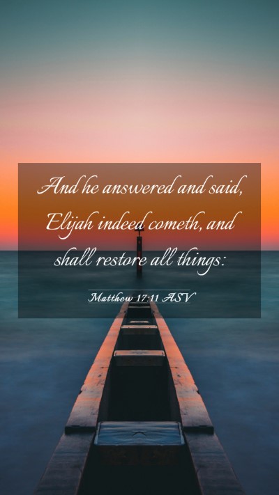 Picture 03 - Matthew 17:11 ASV Mobile Phone Wallpaper - And he answered and said, Elijah indeed cometh, - Mobile Bible Verse Wallpaper