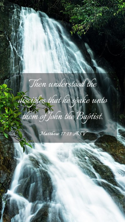 Picture 03 - Matthew 17:13 ASV Mobile Phone Wallpaper - Then understood the disciples that he spake unto - Mobile Bible Verse Wallpaper