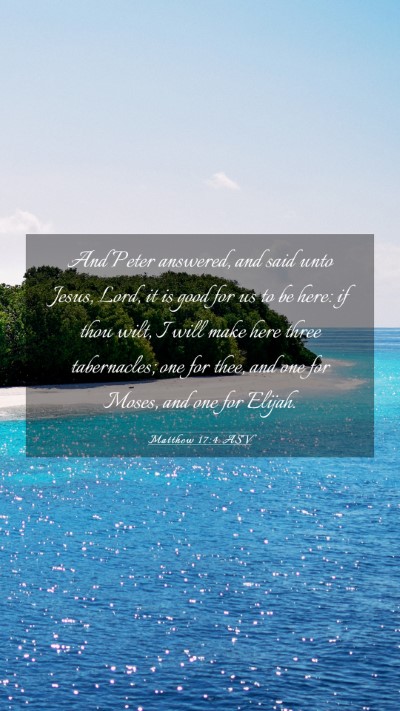 Picture 03 - Matthew 17:4 ASV Mobile Phone Wallpaper - And Peter answered, and said unto Jesus, Lord, it - Mobile Bible Verse Wallpaper