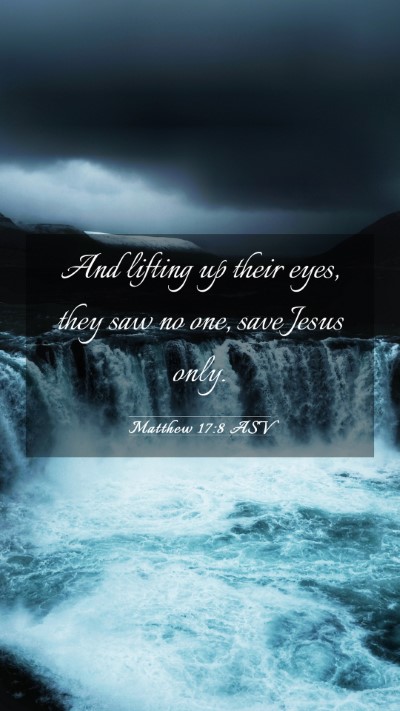 Picture 03 - Matthew 17:8 ASV Mobile Phone Wallpaper - And lifting up their eyes, they saw no one, save - Mobile Bible Verse Wallpaper