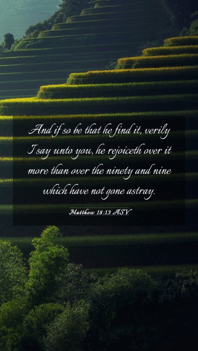Picture 03 - Matthew 18:13 ASV Mobile Phone Wallpaper - And if so be that he find it, verily I say unto - Mobile Bible Verse Wallpaper