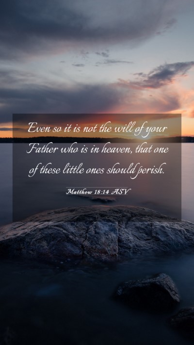 Picture 03 - Matthew 18:14 ASV Mobile Phone Wallpaper - Even so it is not the will of your Father who is - Mobile Bible Verse Wallpaper