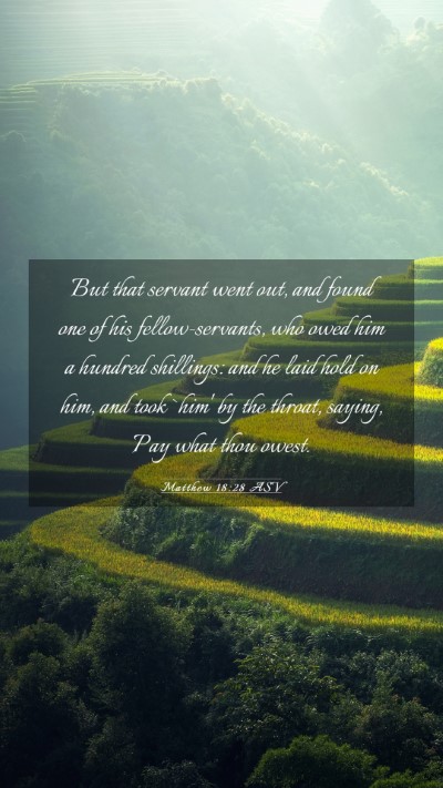 Picture 03 - Matthew 18:28 ASV Mobile Phone Wallpaper - But that servant went out, and found one of his - Mobile Bible Verse Wallpaper