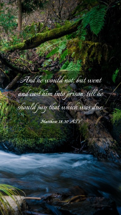 Picture 03 - Matthew 18:30 ASV Mobile Phone Wallpaper - And he would not: but went and cast him into - Mobile Bible Verse Wallpaper