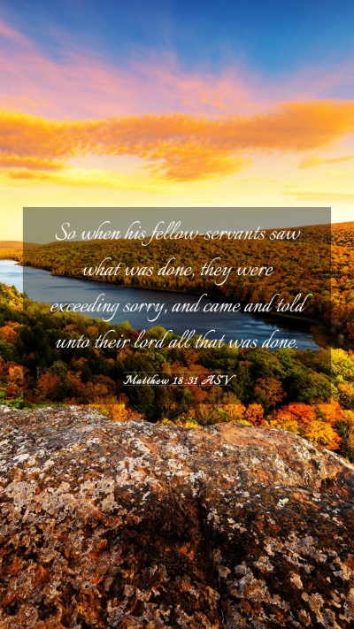 Picture 03 - Matthew 18:31 ASV Mobile Phone Wallpaper - So when his fellow-servants saw what was done, - Mobile Bible Verse Wallpaper
