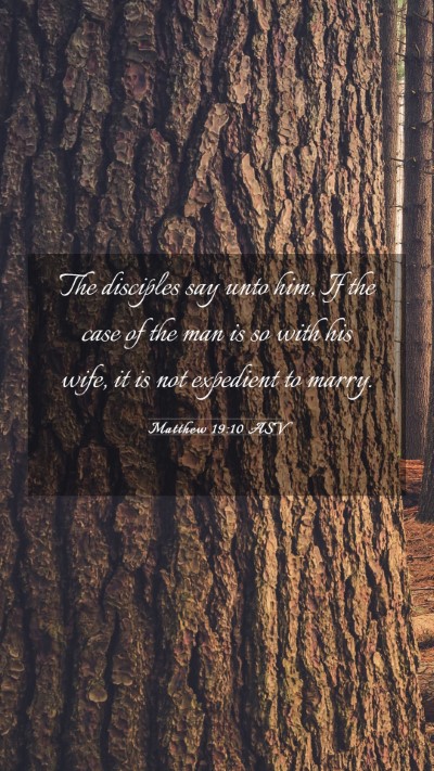 Picture 03 - Matthew 19:10 ASV Mobile Phone Wallpaper - The disciples say unto him, If the case of the - Mobile Bible Verse Wallpaper