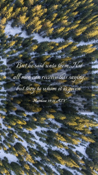 Picture 03 - Matthew 19:11 ASV Mobile Phone Wallpaper - But he said unto them, Not all men can receive - Mobile Bible Verse Wallpaper