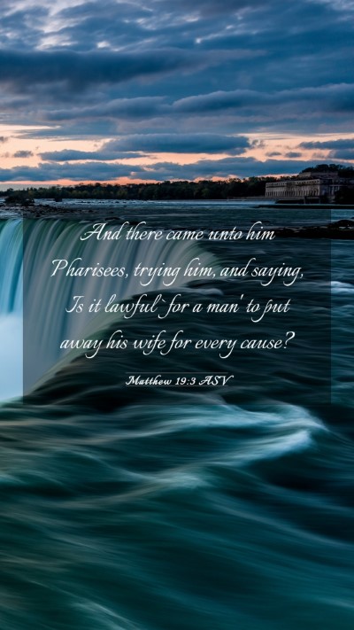 Picture 03 - Matthew 19:3 ASV Mobile Phone Wallpaper - And there came unto him Pharisees, trying him, - Mobile Bible Verse Wallpaper