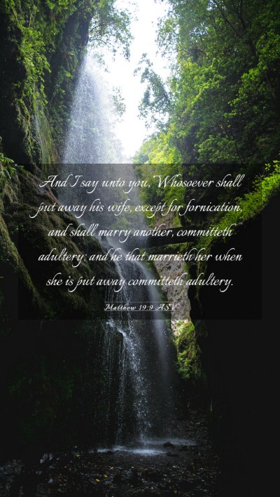 Picture 03 - Matthew 19:9 ASV Mobile Phone Wallpaper - And I say unto you, Whosoever shall put away his - Mobile Bible Verse Wallpaper