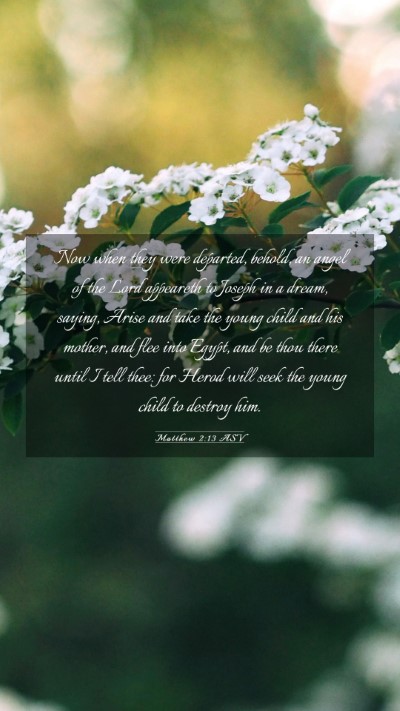 Picture 03 - Matthew 2:13 ASV Mobile Phone Wallpaper - Now when they were departed, behold, an angel of - Mobile Bible Verse Wallpaper