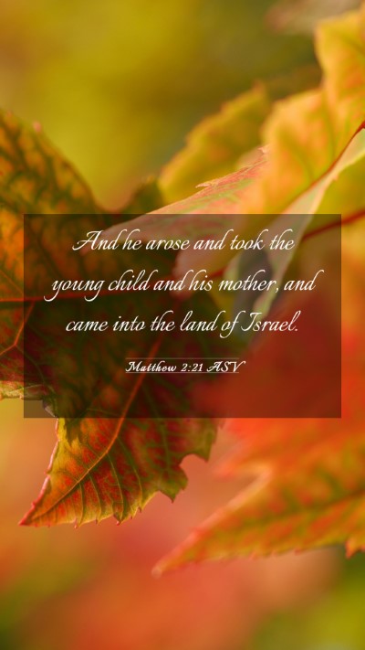 Picture 03 - Matthew 2:21 ASV Mobile Phone Wallpaper - And he arose and took the young child and his - Mobile Bible Verse Wallpaper