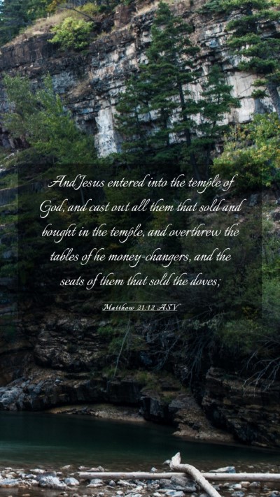 Picture 03 - Matthew 21:12 ASV Mobile Phone Wallpaper - And Jesus entered into the temple of God, and - Mobile Bible Verse Wallpaper