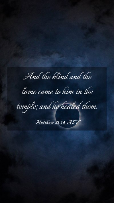 Picture 03 - Matthew 21:14 ASV Mobile Phone Wallpaper - And the blind and the lame came to him in the - Mobile Bible Verse Wallpaper