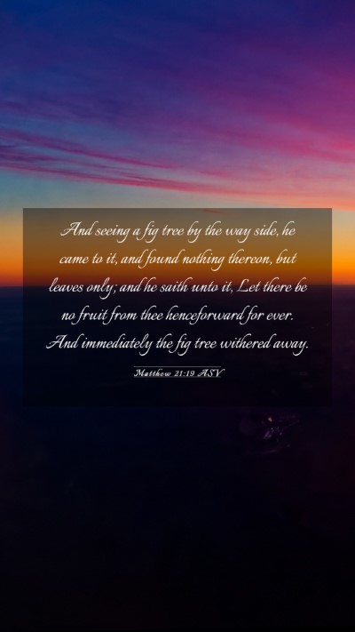 Picture 03 - Matthew 21:19 ASV Mobile Phone Wallpaper - And seeing a fig tree by the way side, he came to - Mobile Bible Verse Wallpaper