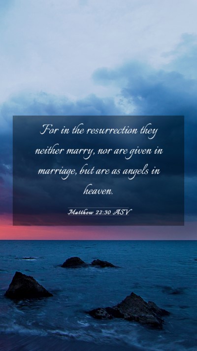 Picture 03 - Matthew 22:30 ASV Mobile Phone Wallpaper - For in the resurrection they neither marry, nor - Mobile Bible Verse Wallpaper