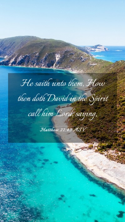 Picture 03 - Matthew 22:43 ASV Mobile Phone Wallpaper - He saith unto them, How then doth David in the - Mobile Bible Verse Wallpaper