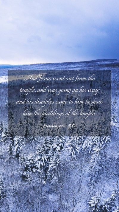Picture 03 - Matthew 24:1 ASV Mobile Phone Wallpaper - And Jesus went out from the temple, and was going - Mobile Bible Verse Wallpaper