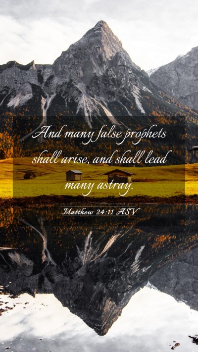 Picture 03 - Matthew 24:11 ASV Mobile Phone Wallpaper - And many false prophets shall arise, and shall - Mobile Bible Verse Wallpaper