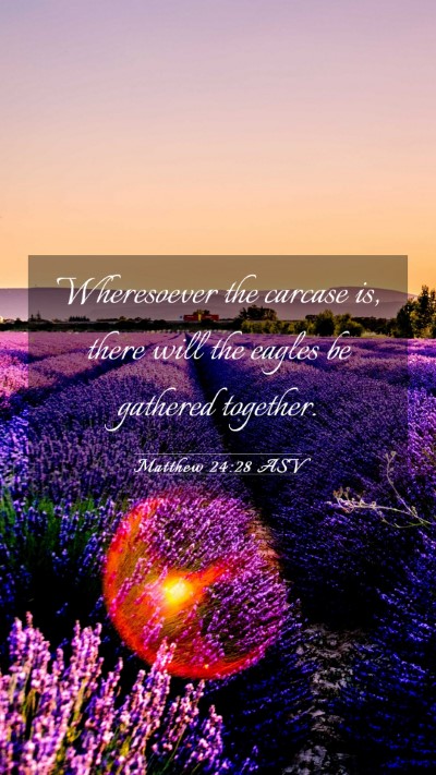 Picture 03 - Matthew 24:28 ASV Mobile Phone Wallpaper - Wheresoever the carcase is, there will the eagles - Mobile Bible Verse Wallpaper