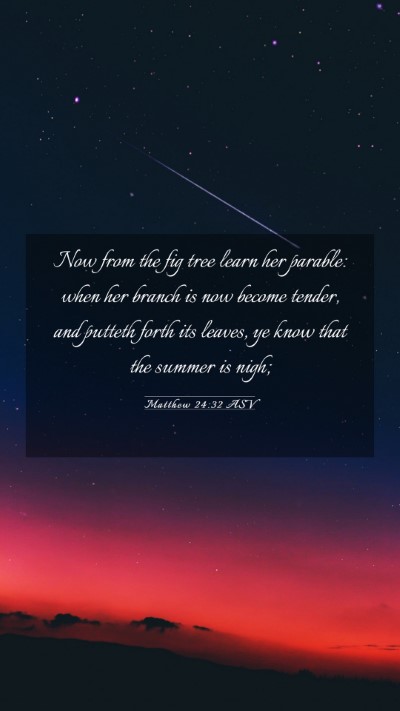 Picture 03 - Matthew 24:32 ASV Mobile Phone Wallpaper - Now from the fig tree learn her parable: when her - Mobile Bible Verse Wallpaper