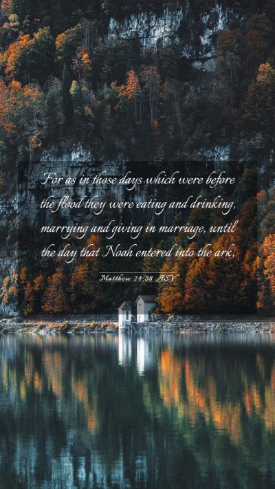 Picture 03 - Matthew 24:38 ASV Mobile Phone Wallpaper - For as in those days which were before the flood - Mobile Bible Verse Wallpaper