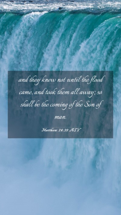 Picture 03 - Matthew 24:39 ASV Mobile Phone Wallpaper - and they knew not until the flood came, and took - Mobile Bible Verse Wallpaper