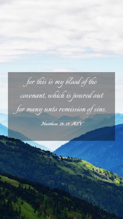 Picture 03 - Matthew 26:28 ASV Mobile Phone Wallpaper - for this is my blood of the covenant, which is - Mobile Bible Verse Wallpaper
