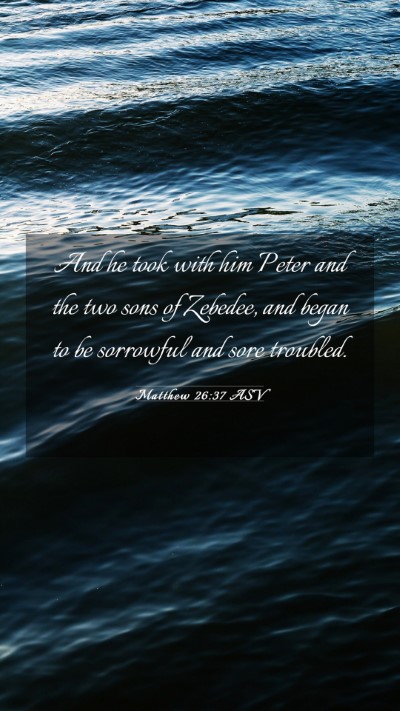 Picture 03 - Matthew 26:37 ASV Mobile Phone Wallpaper - And he took with him Peter and the two sons of - Mobile Bible Verse Wallpaper