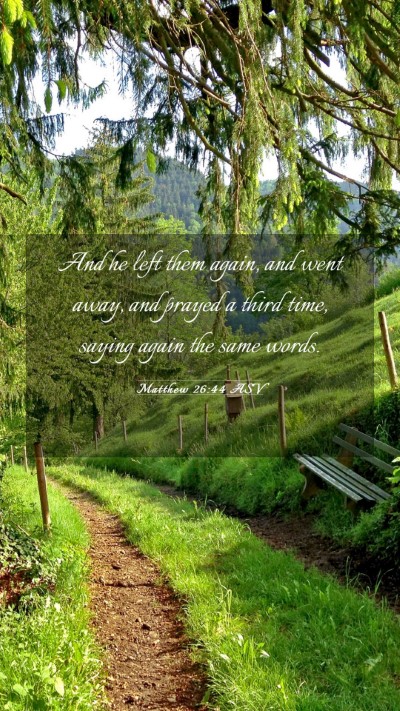 Picture 03 - Matthew 26:44 ASV Mobile Phone Wallpaper - And he left them again, and went away, and prayed - Mobile Bible Verse Wallpaper