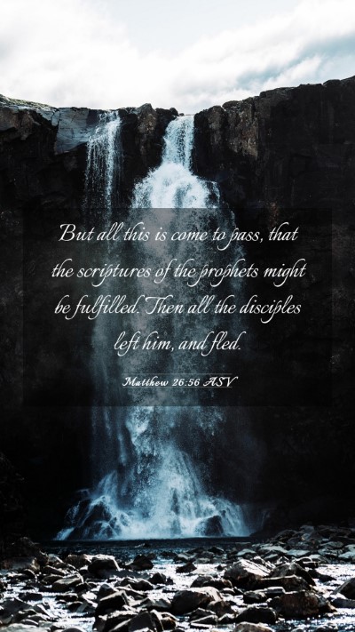 Picture 03 - Matthew 26:56 ASV Mobile Phone Wallpaper - But all this is come to pass, that the scriptures - Mobile Bible Verse Wallpaper
