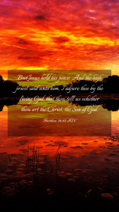 Picture 03 - Matthew 26:63 ASV Mobile Phone Wallpaper - But Jesus held his peace. And the high priest - Mobile Bible Verse Wallpaper