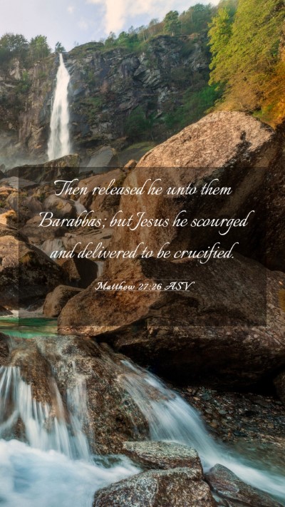 Picture 03 - Matthew 27:26 ASV Mobile Phone Wallpaper - Then released he unto them Barabbas; but Jesus he - Mobile Bible Verse Wallpaper