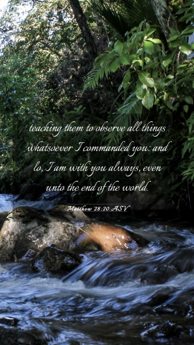 Picture 03 - Matthew 28:20 ASV Mobile Phone Wallpaper - teaching them to observe all things whatsoever I - Mobile Bible Verse Wallpaper