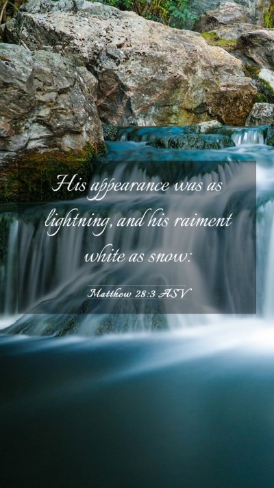 Picture 03 - Matthew 28:3 ASV Mobile Phone Wallpaper - His appearance was as lightning, and his raiment - Mobile Bible Verse Wallpaper