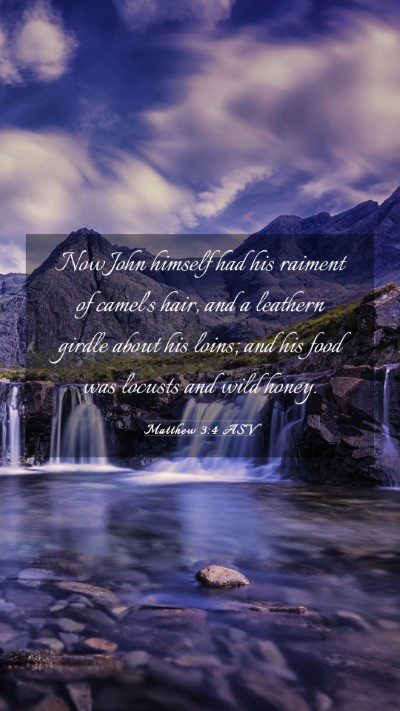Picture 03 - Matthew 3:4 ASV Mobile Phone Wallpaper - Now John himself had his raiment of camel's hair, - Mobile Bible Verse Wallpaper