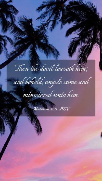 Picture 03 - Matthew 4:11 ASV Mobile Phone Wallpaper - Then the devil leaveth him; and behold, angels - Mobile Bible Verse Wallpaper