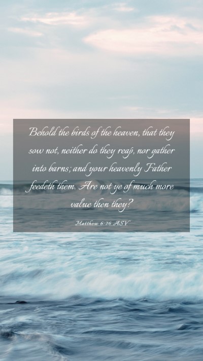 Picture 03 - Matthew 6:26 ASV Mobile Phone Wallpaper - Behold the birds of the heaven, that they sow - Mobile Bible Verse Wallpaper