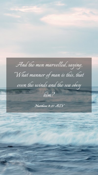 Picture 03 - Matthew 8:27 ASV Mobile Phone Wallpaper - And the men marvelled, saying, What manner of man - Mobile Bible Verse Wallpaper