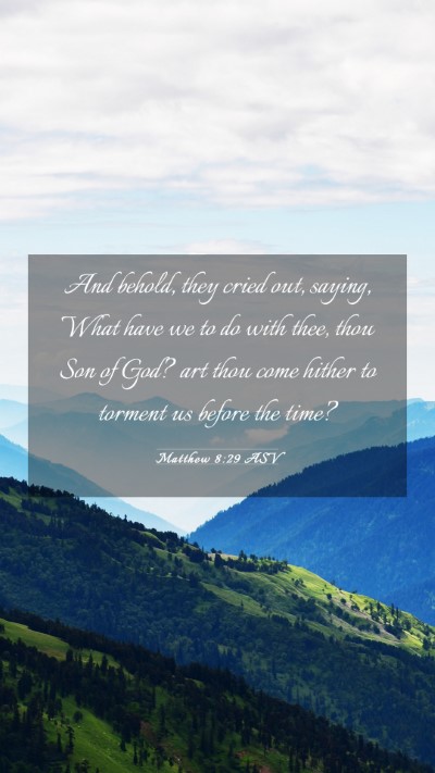 Picture 03 - Matthew 8:29 ASV Mobile Phone Wallpaper - And behold, they cried out, saying, What have we - Mobile Bible Verse Wallpaper