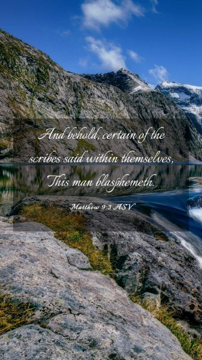 Picture 03 - Matthew 9:3 ASV Mobile Phone Wallpaper - And behold, certain of the scribes said within - Mobile Bible Verse Wallpaper