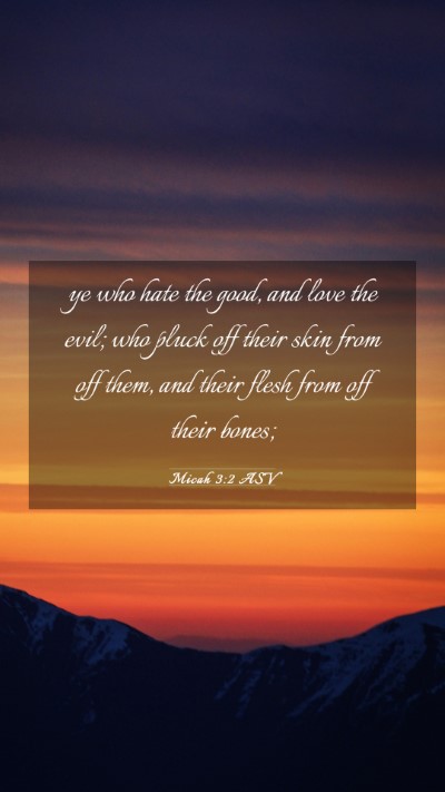 Picture 03 - Micah 3:2 ASV Mobile Phone Wallpaper - ye who hate the good, and love the evil; who - Mobile Bible Verse Wallpaper